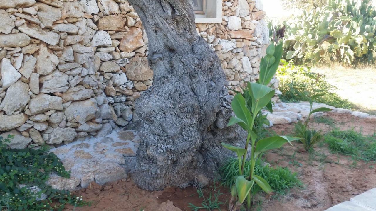 Agriturismo Tenuta La Siesta Gallipoli Exterior foto